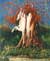 Jean Hazera - L'arbre et le cheval